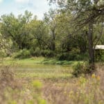 25_salt-branch-ranch-live-oak022