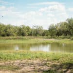 27_salt-branch-ranch-live-oak024