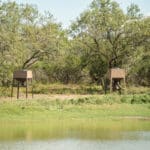 28_salt-branch-ranch-live-oak025