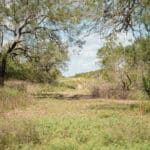 31_salt-branch-ranch-live-oak028