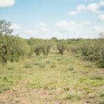 33_salt-branch-ranch-live-oak030