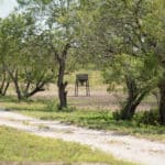 34_salt-branch-ranch-live-oak031