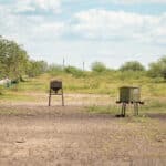 36_salt-branch-ranch-live-oak033