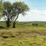 106_salt-branch-ranch-live-oak106