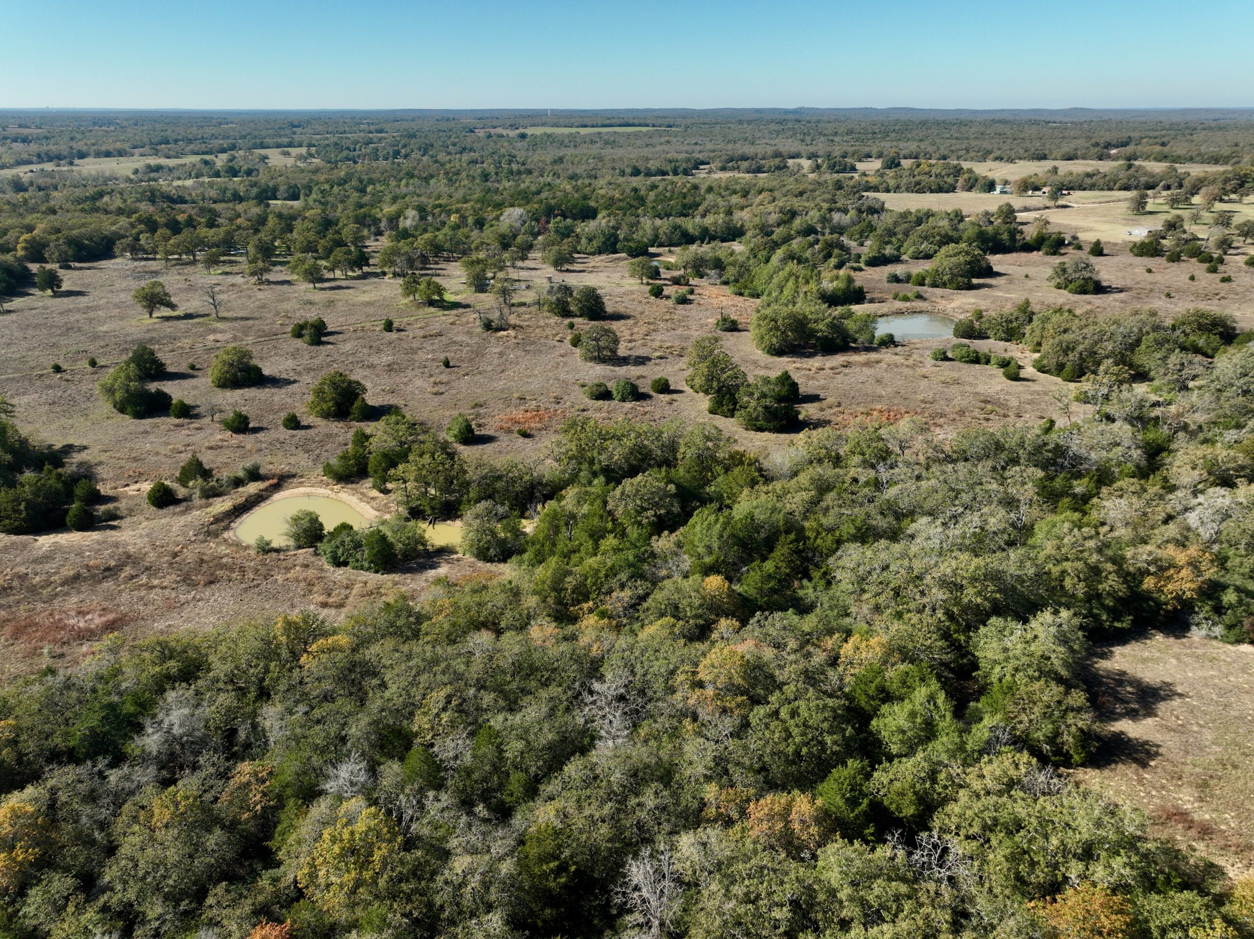 146 Acres Copperas Creek Ranch | Hill Country Ranch for Sale | Dullnig ...