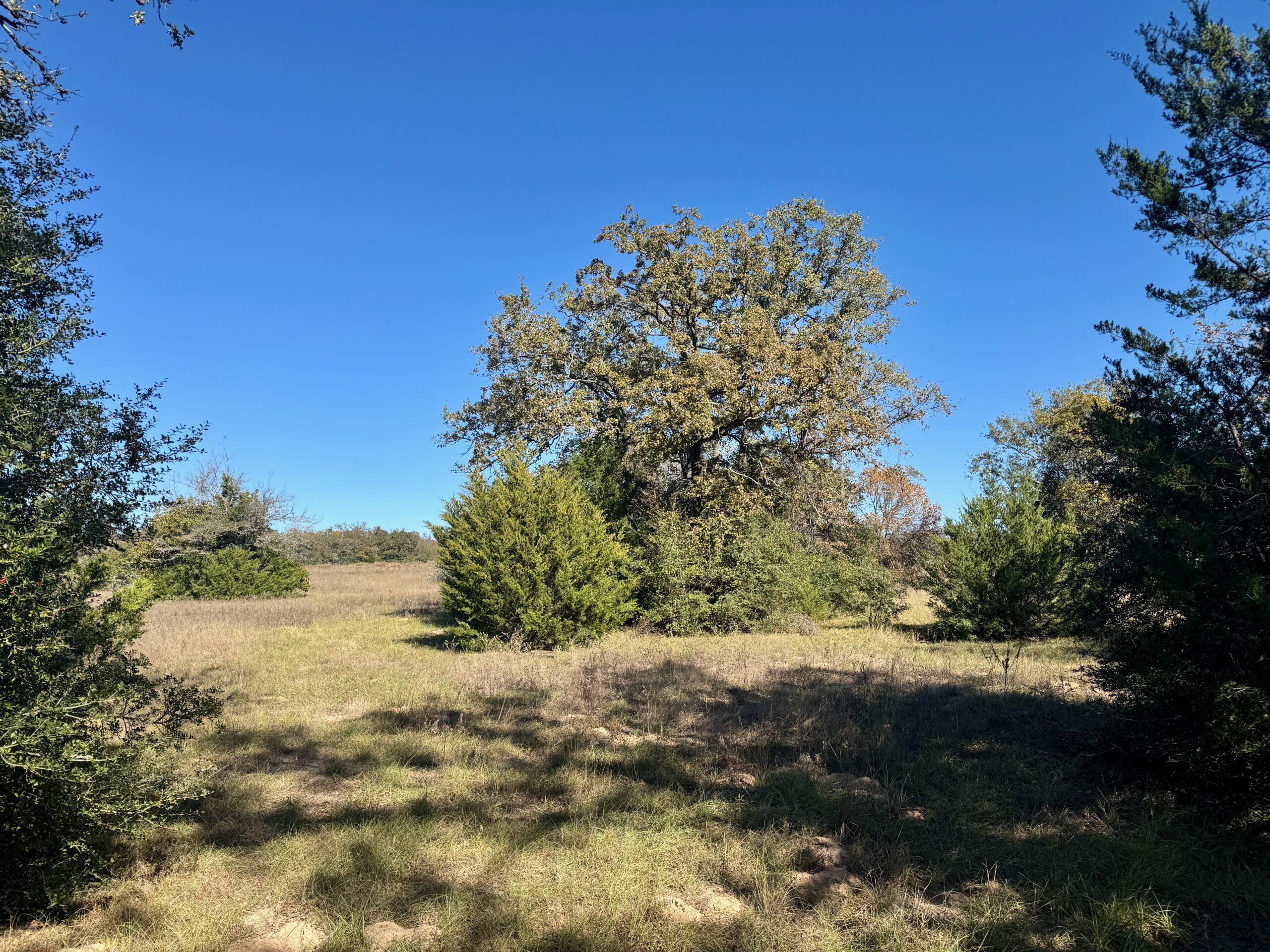 146 Acres Copperas Creek Ranch | Hill Country Ranch for Sale | Dullnig ...