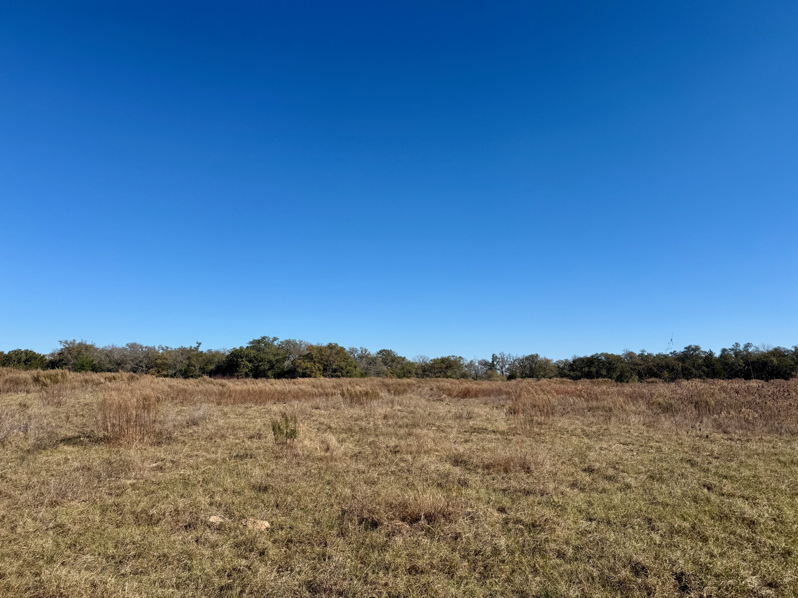 146 Acres Copperas Creek Ranch | Hill Country Ranch for Sale | Dullnig ...