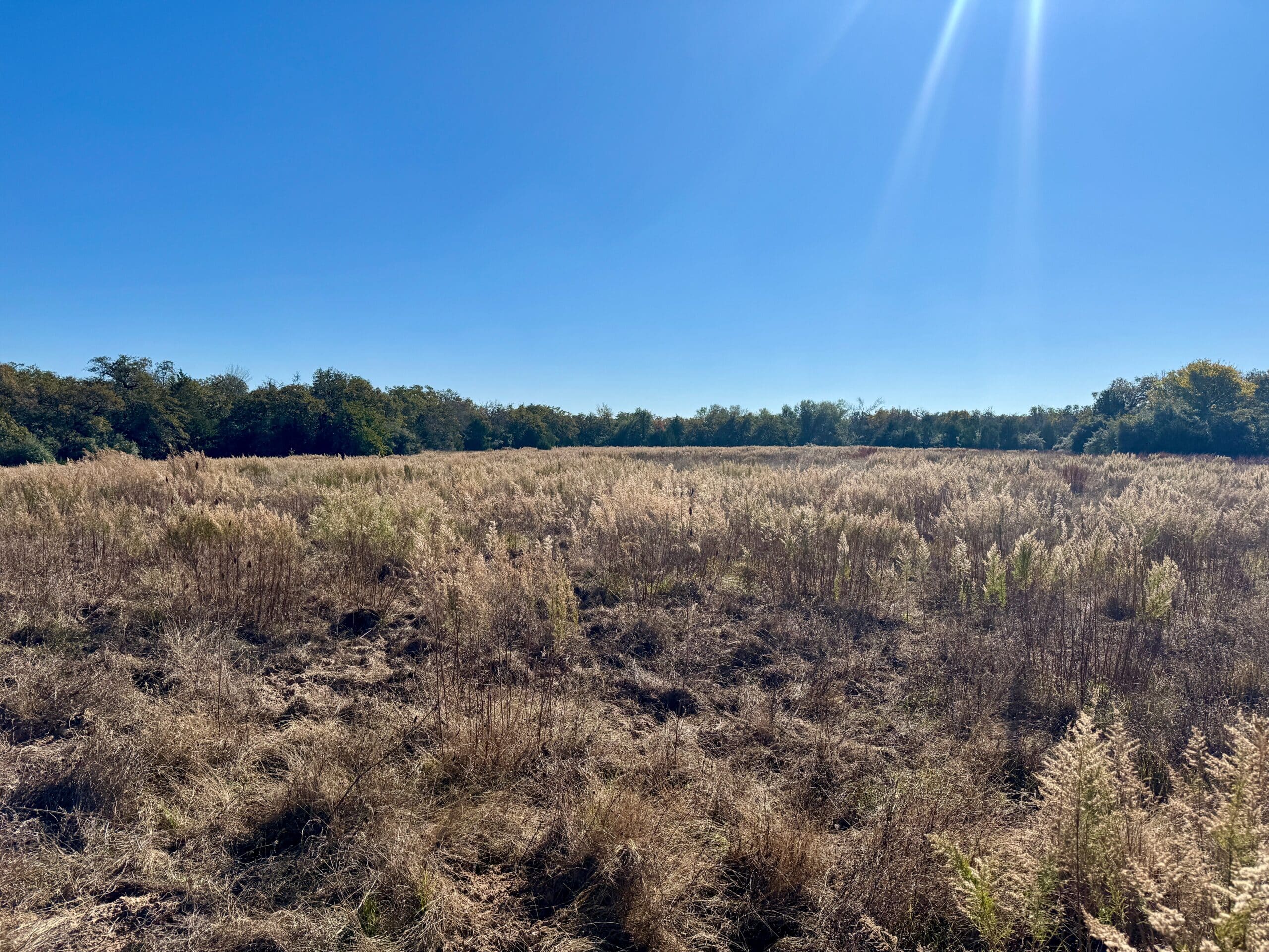 146 Acres Copperas Creek Ranch | Hill Country Ranch for Sale | Dullnig ...