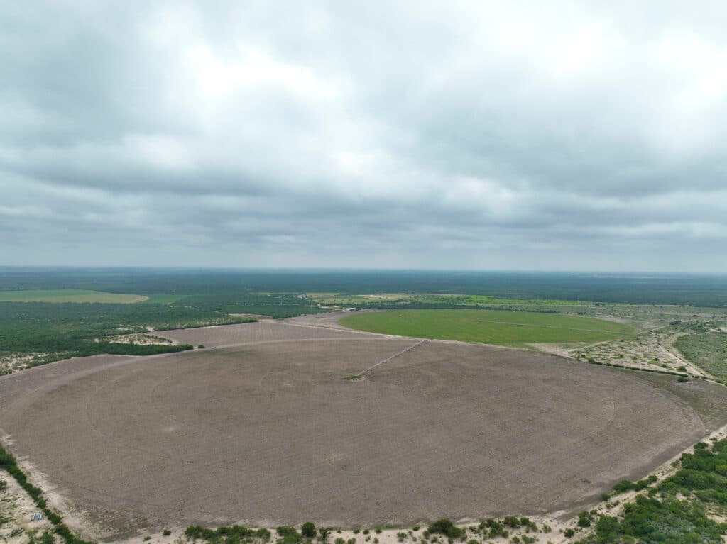 450 Acres West Alta Mira Farm