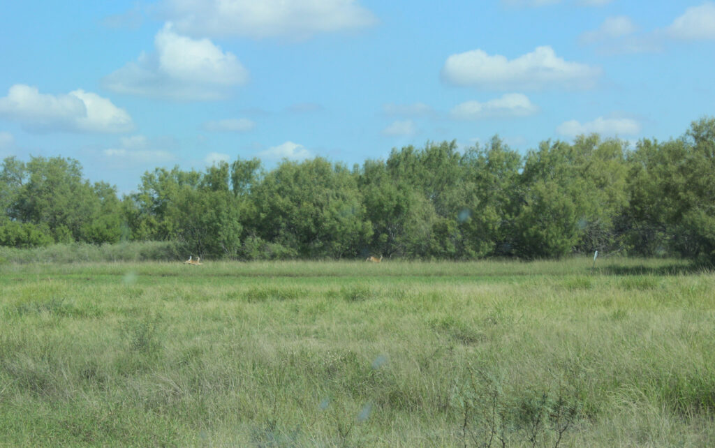 10, 15 or 20 Acres – Hwy. 85, Big Wells