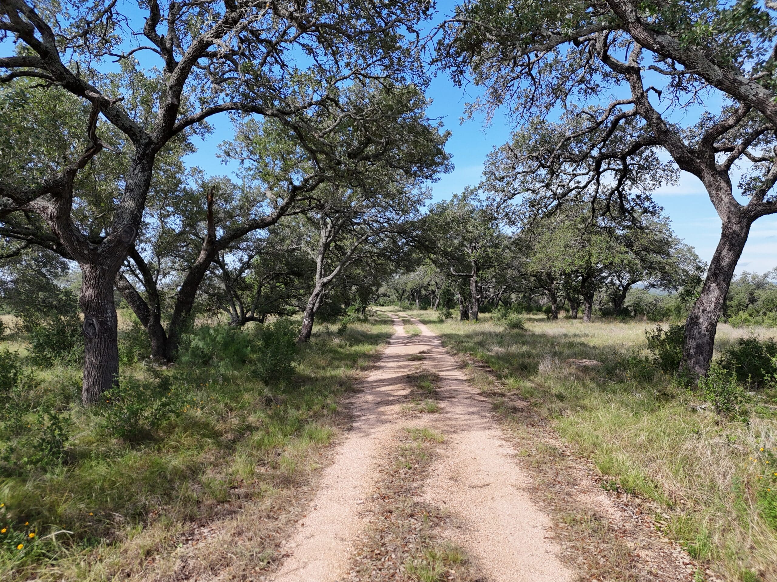 900 Acres Cypress Island Ranch | Hill Country Ranch for Sale | Dullnig ...