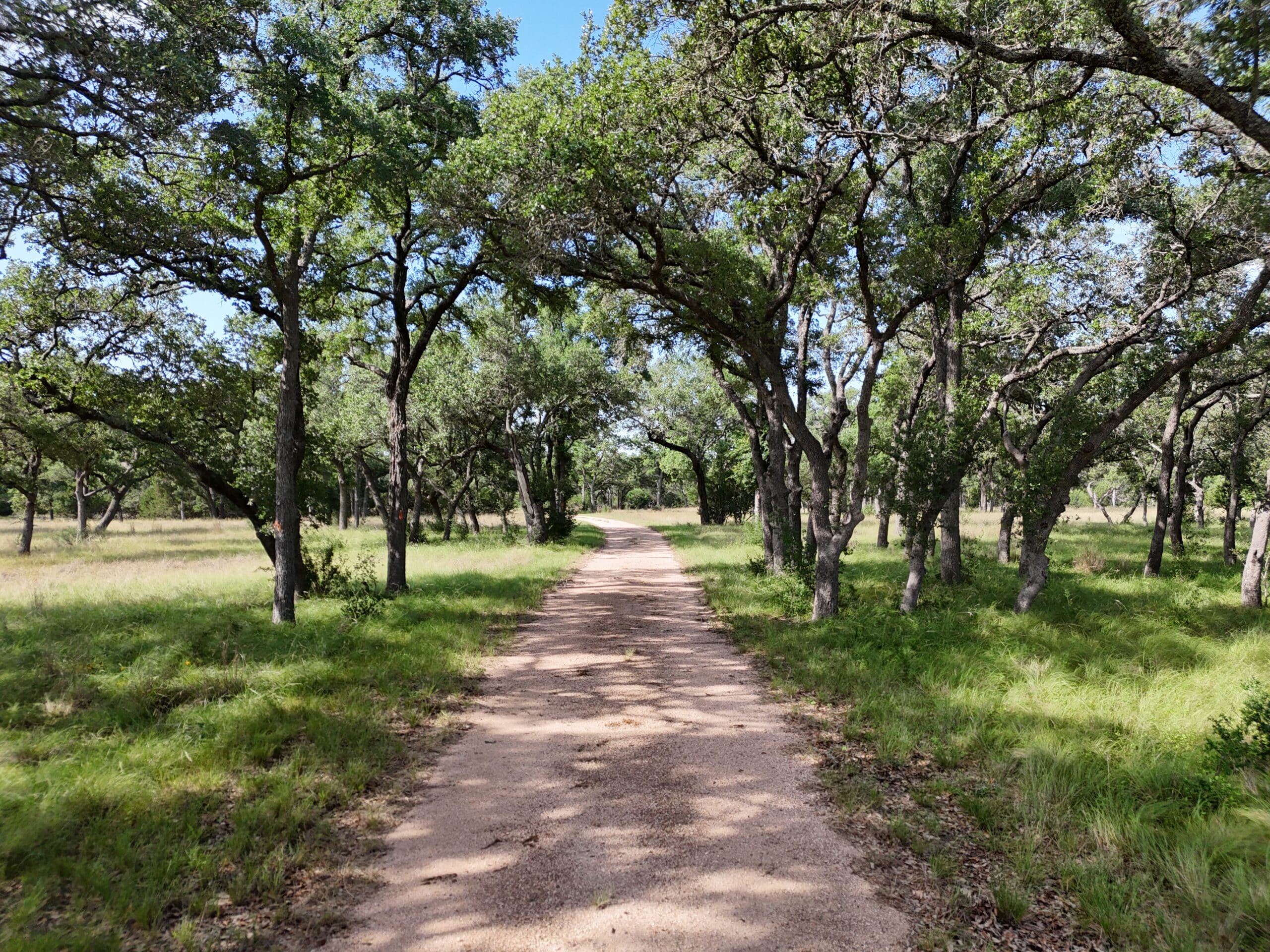 900 Acres Cypress Island Ranch | Hill Country Ranch for Sale | Dullnig ...