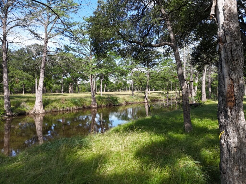 900 Acres Cypress Island Ranch