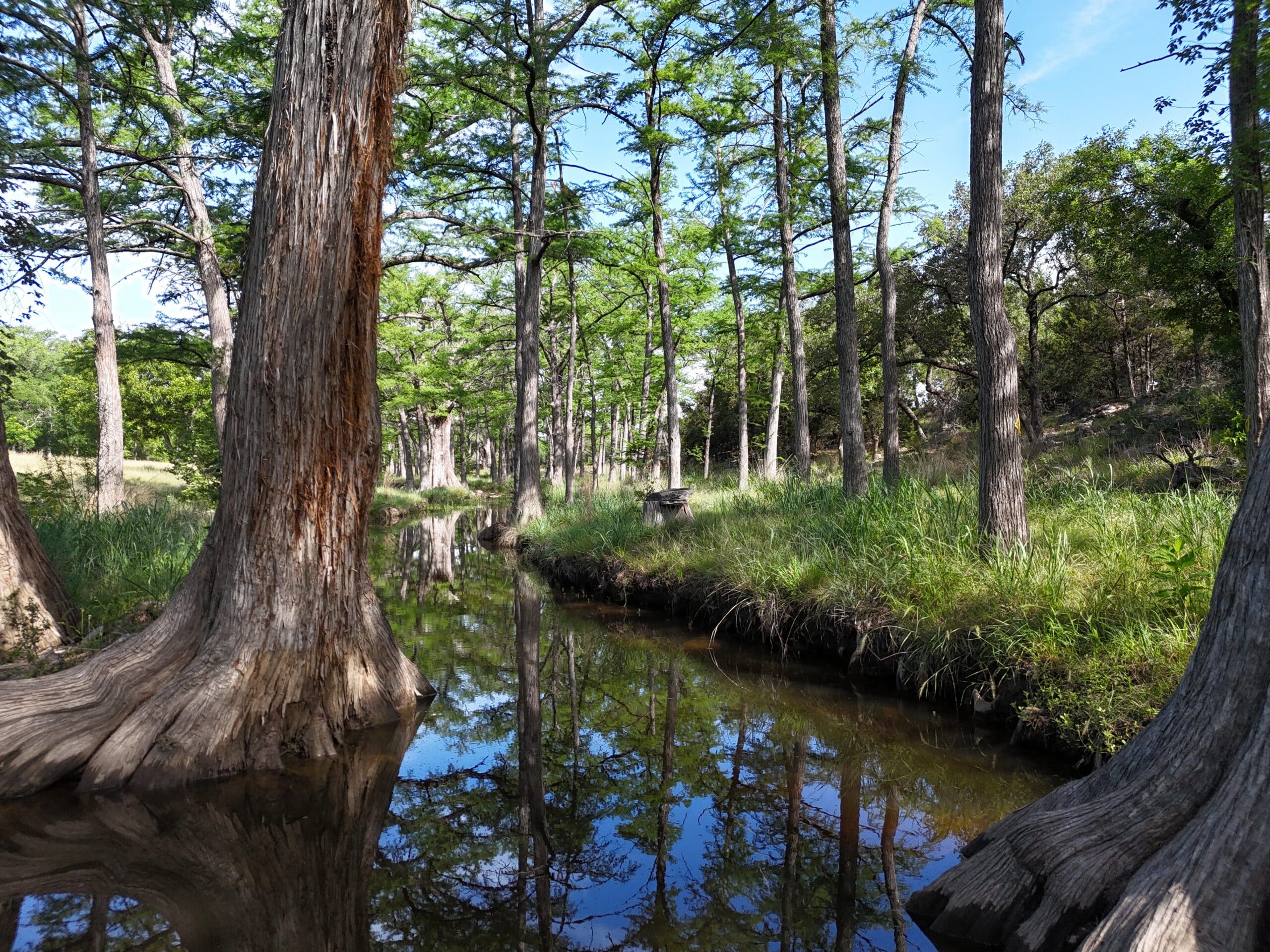 900 Acres Cypress Island Ranch | Hill Country Ranch for Sale | Dullnig ...