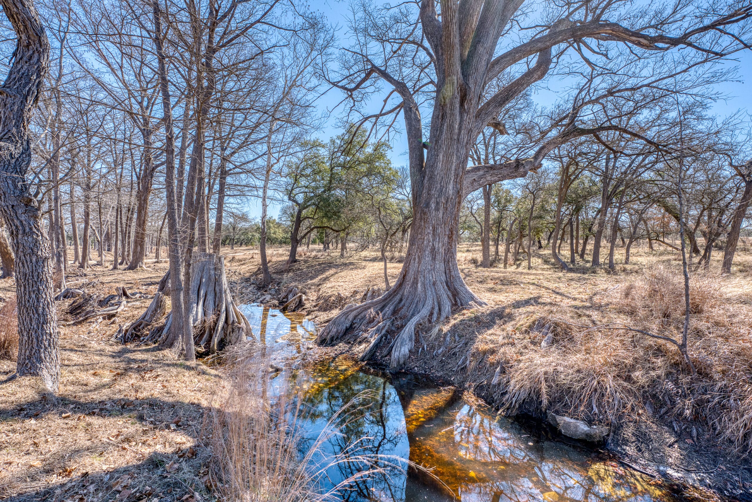 900 Acres Cypress Island Ranch | Hill Country Ranch for Sale | Dullnig ...