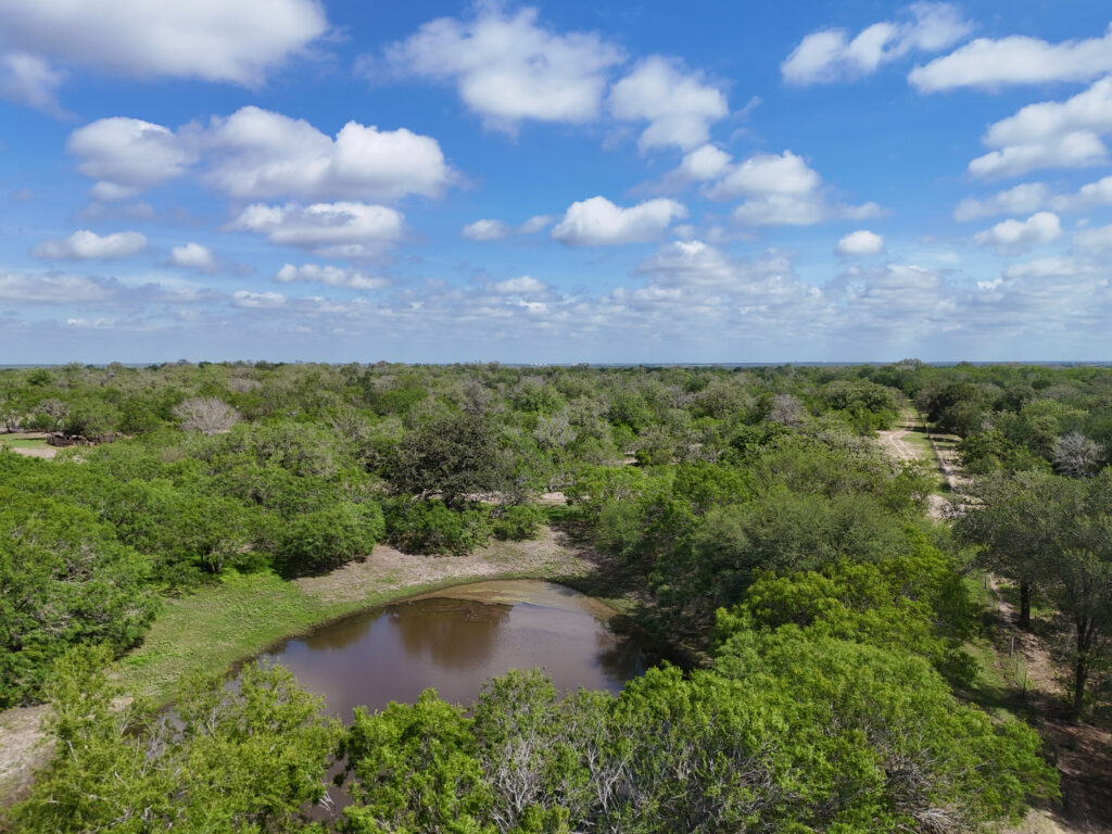 233 Acres Los Encinos Ranch