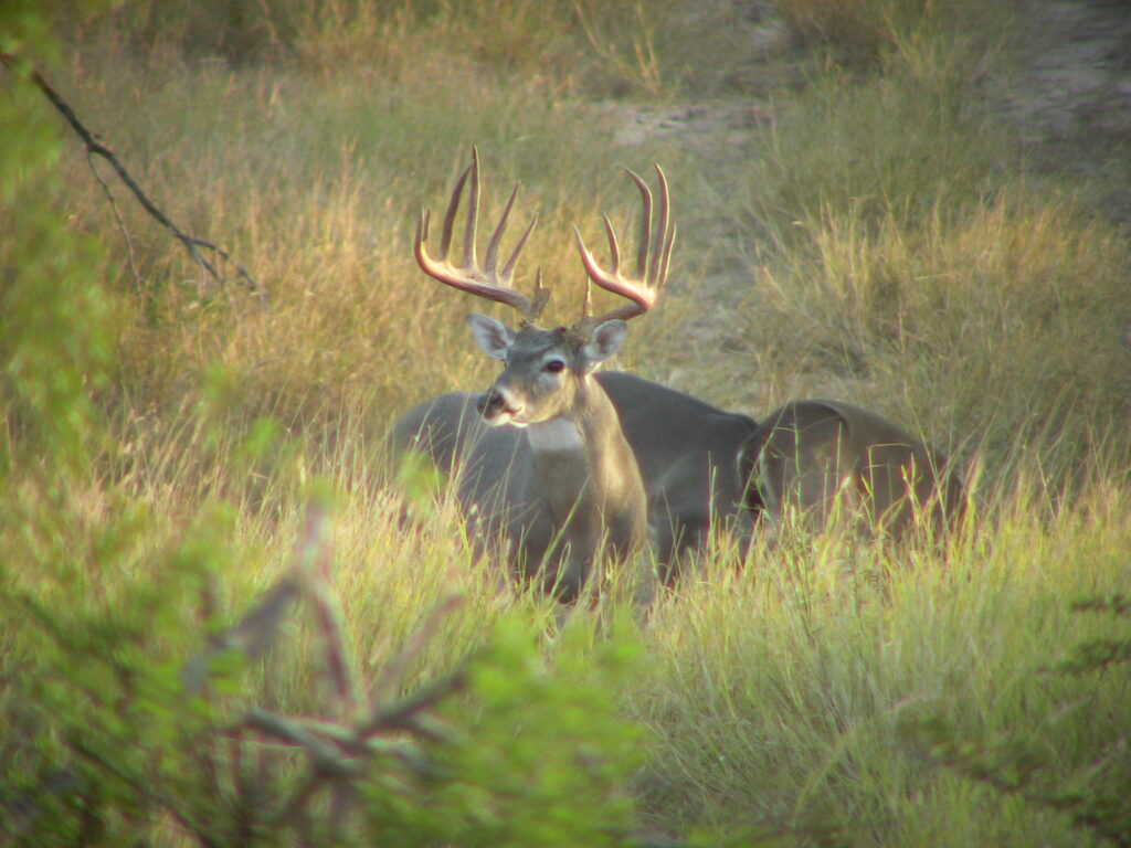 2,158 Acres El Tecomate Ranch