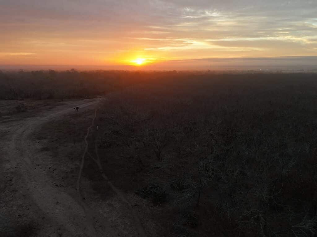 233 Acres Los Encinos Ranch