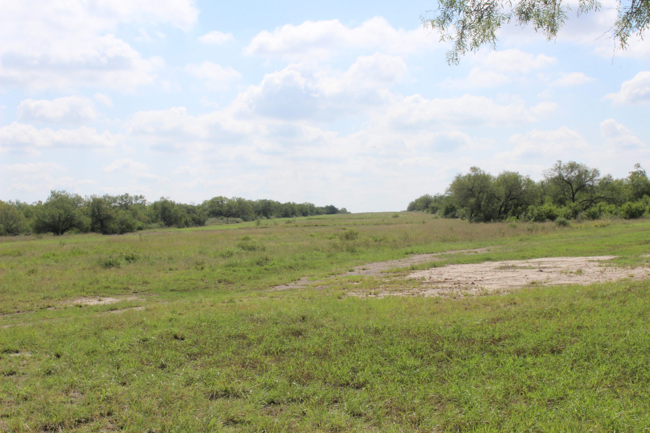 550 Acres Pueblo Ranch | South Texas Ranch for Sale | Dullnig Ranches