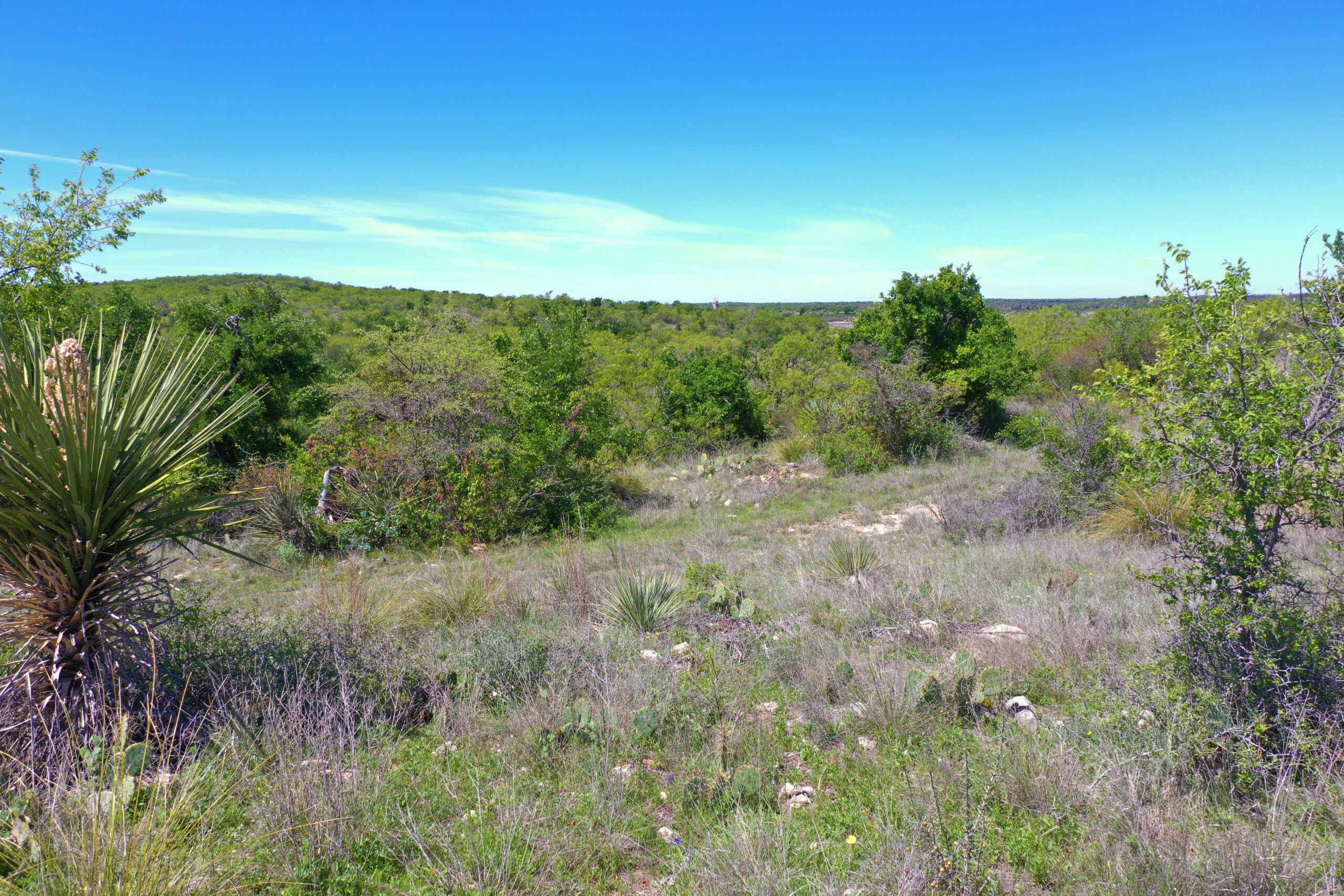 301 Allis Ranch Rd 301 Acres Conradie Voss Ranch | North-East Texas Ranch for Sale ...