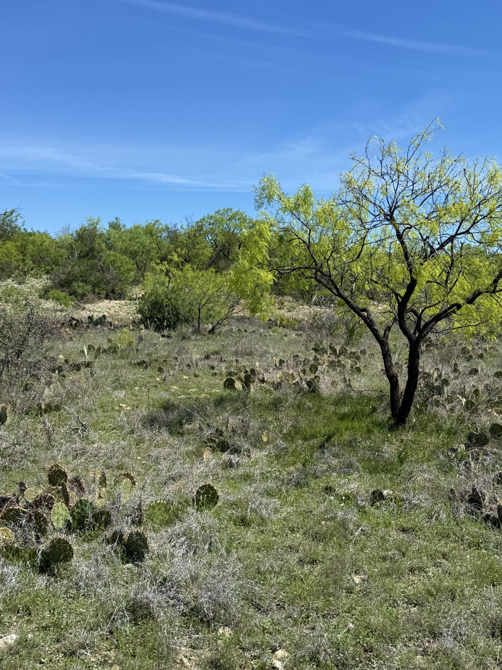 301 Allis Ranch Rd 301 Acres Conradie Voss Ranch | North-East Texas Ranch for Sale ...