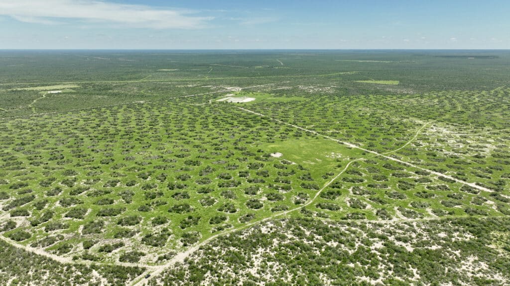 2220 Acres Drummond Creek Ranch