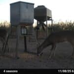 836 Acres Cielo Lake Ranch