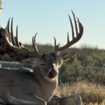 836 Acres Cielo Lake Ranch