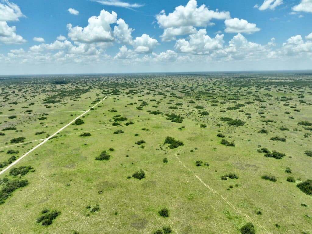 9,068 Acres Mesquite Tree Ranch
