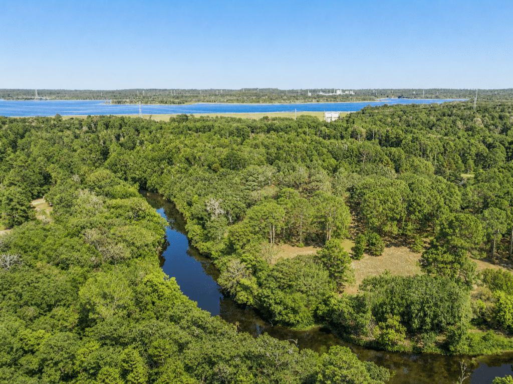 22 Acres Piney Creek Ranch
