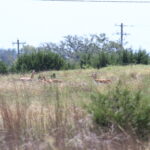 IMG_4280