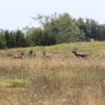 IMG_4284