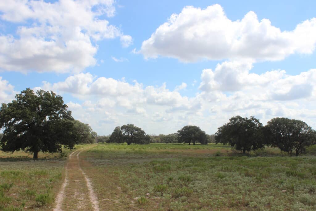 398 Acres Grass Pond Colony Ranch