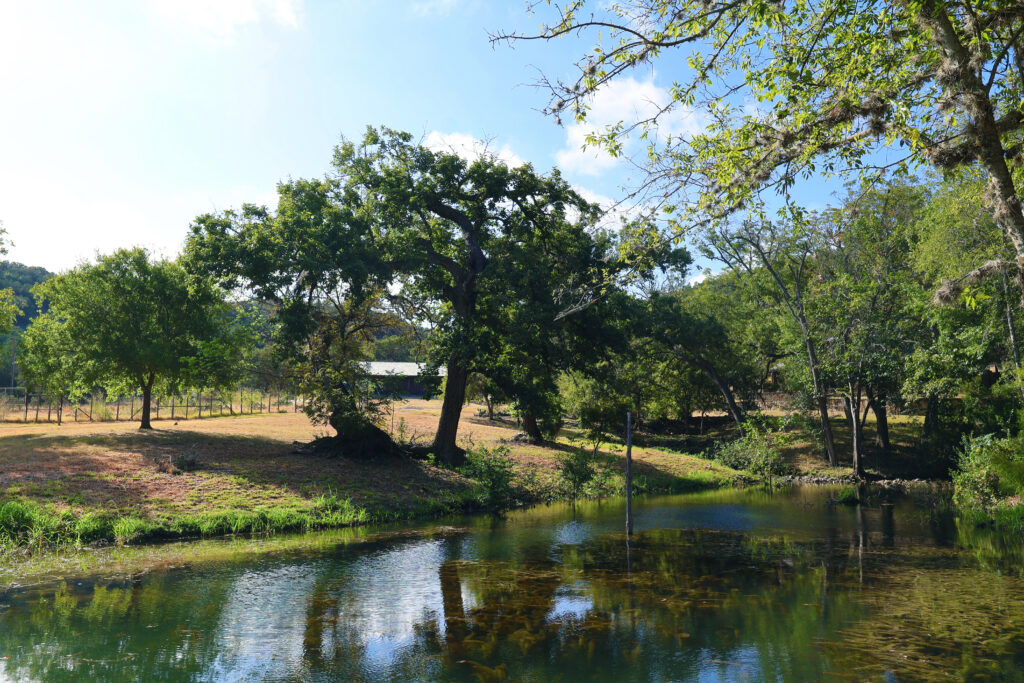 985 Acres 12 Springs Ranch