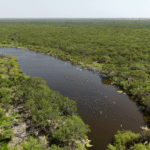 02_1947Acres_LiveOakCounty_NuecesWestRanch