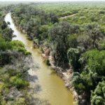 03_1947Acres_LiveOakCounty_NuecesWestRanch