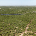 08_1947Acres_LiveOakCounty_NuecesWestRanch