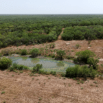 09_1947Acres_LiveOakCounty_NuecesWestRanch
