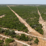 16_1947Acres_LiveOakCounty_NuecesWestRanch