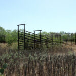 21_1947Acres_LiveOakCounty_NuecesWestRanch