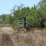 25_1947Acres_LiveOakCounty_NuecesWestRanch