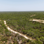 26_1947Acres_LiveOakCounty_NuecesWestRanch