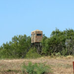 29_1947Acres_LiveOakCounty_NuecesWestRanch