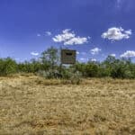 1,902 Acres Cascabel Ranch