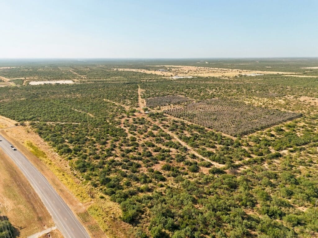 295 Acres Olive Branch Ranch